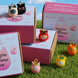 Surprise Meow Box — Handmade Blind Box Cat Charm