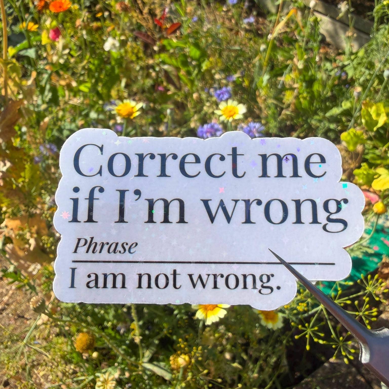 A die-cut white sign with black text reading 'Correct me if I'm wrong Phrase I am not wrong.' placed in a garden among flowers and greenery, with a metal stake holding it.