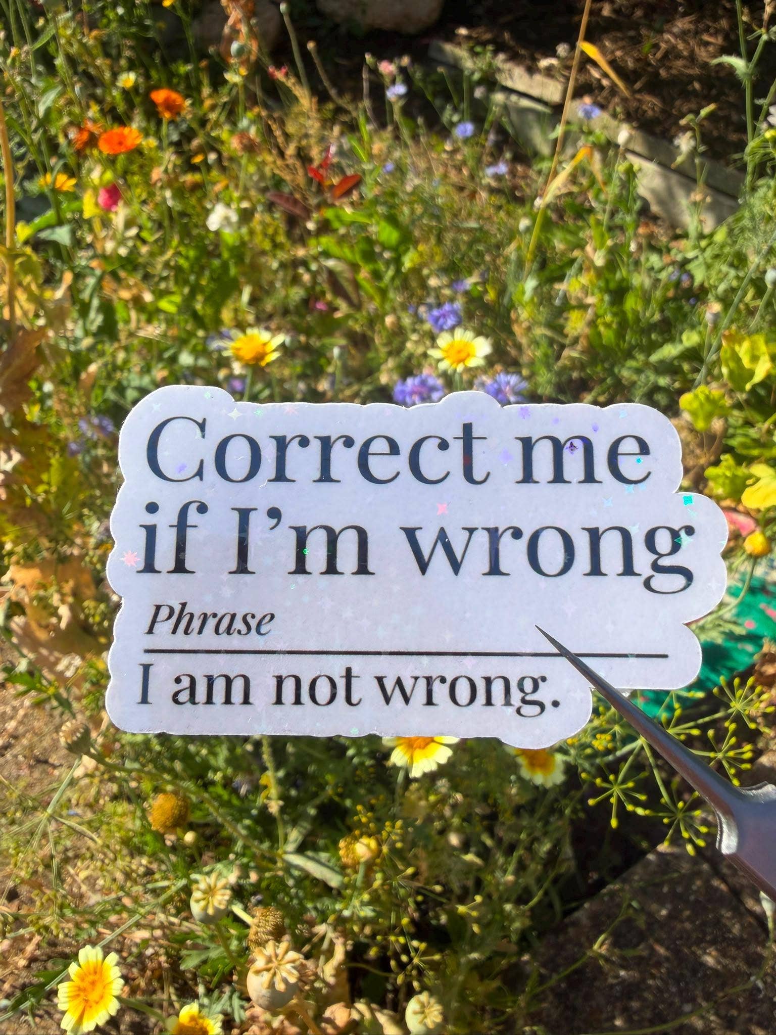 A die-cut white sign with black text reading 'Correct me if I'm wrong Phrase I am not wrong.' placed in a garden among flowers and greenery, with a metal stake holding it.