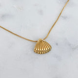 Shell Necklace