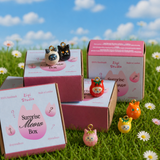 Surprise Meow Box — Handmade Blind Box Cat Charm